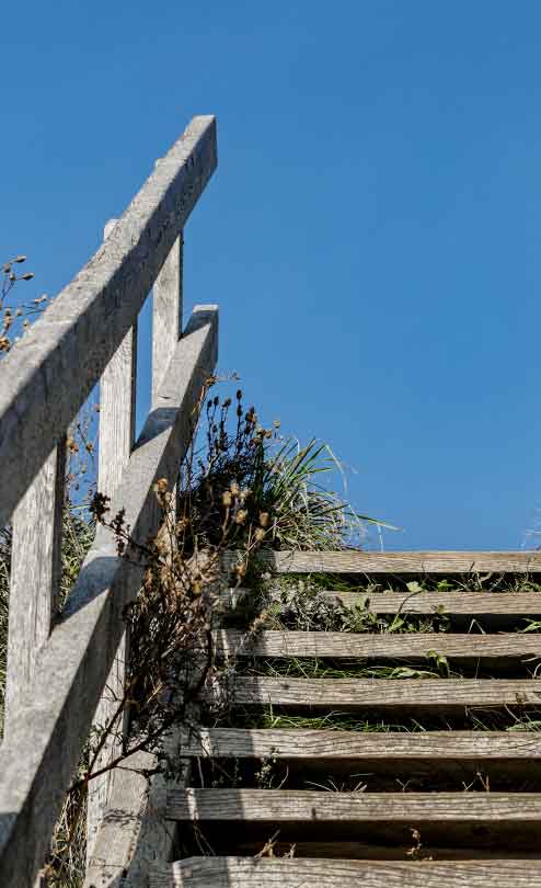 YOGAPSYCHOLOGIE | MUT UND COURAGE | ONLINE